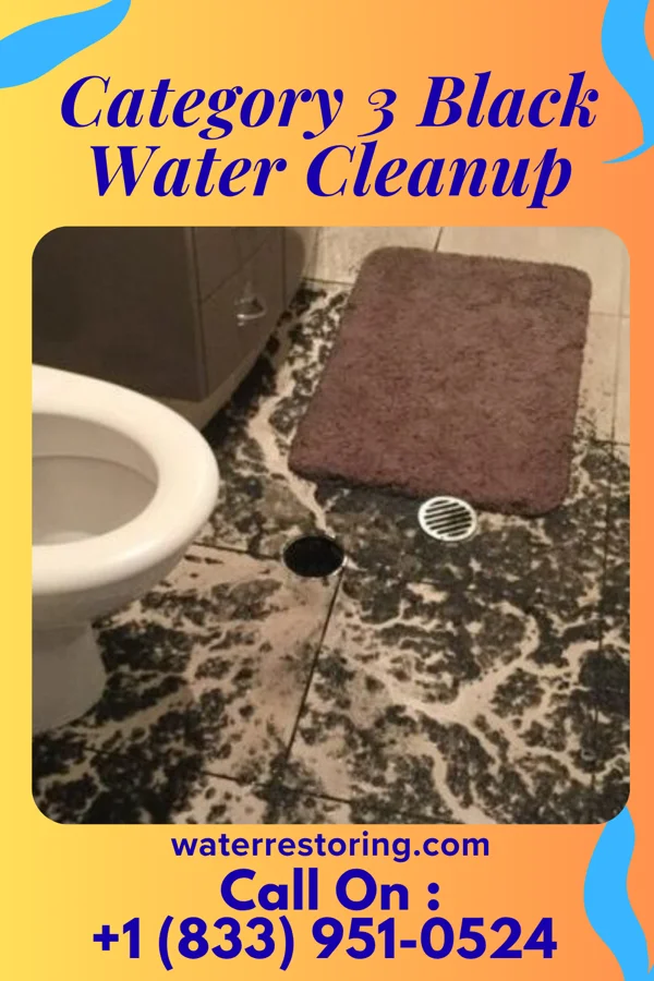 Category 3 Black Water Cleanup in Rewey, WI
