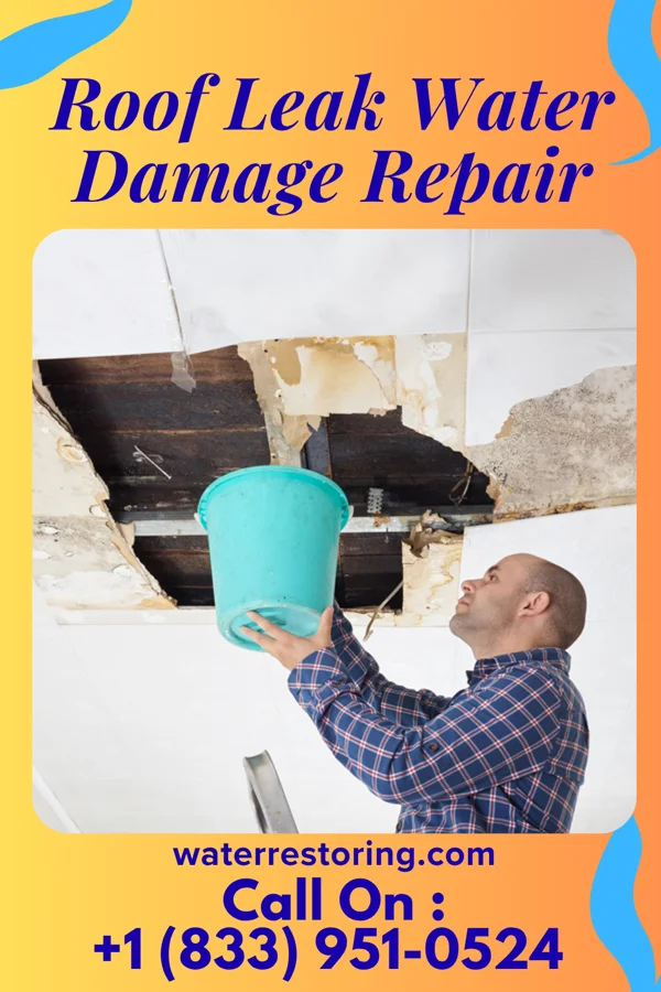 Roof Leak Water Damage Repair in Rewey, WI